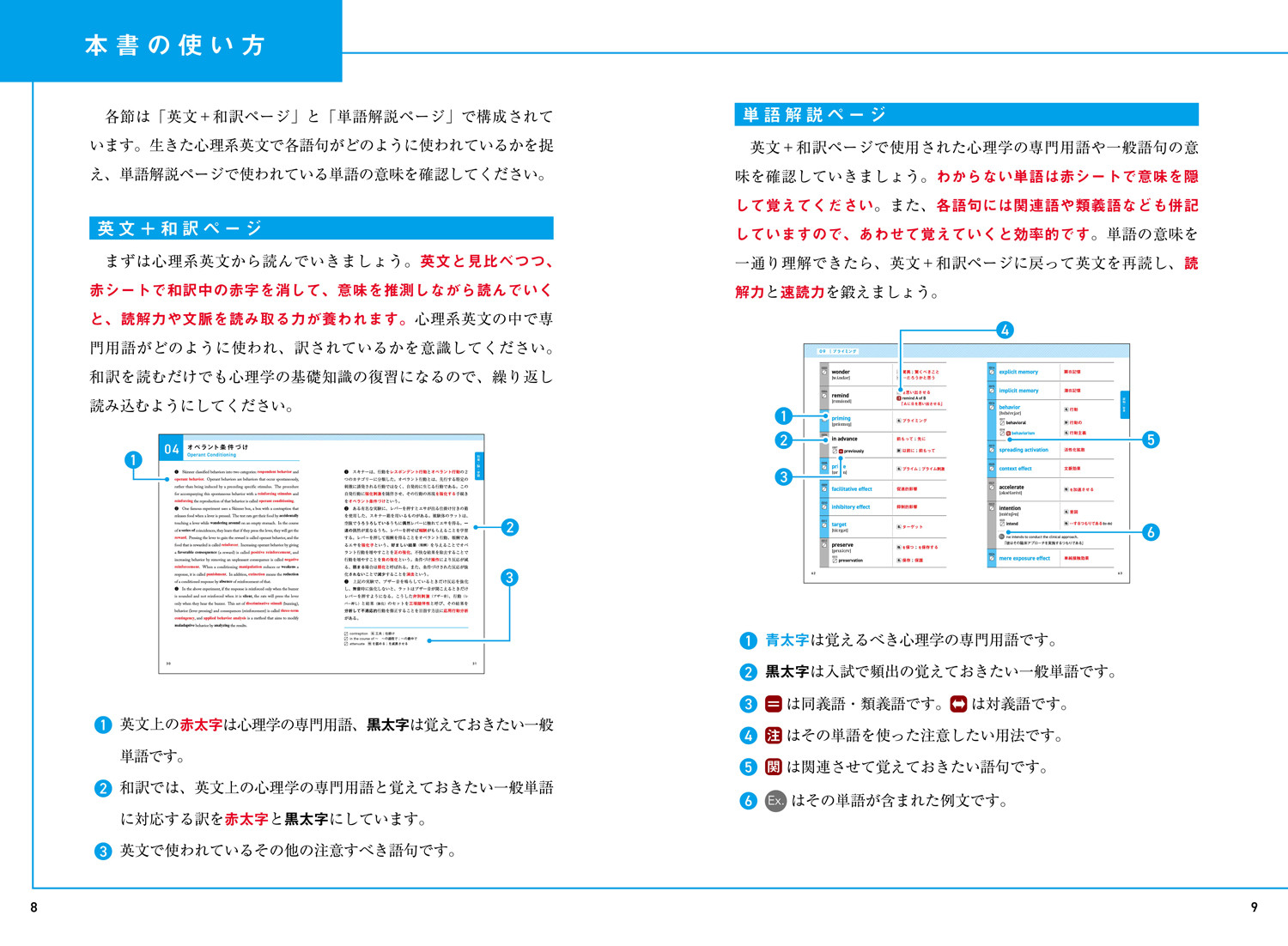 ǧա׾Ρرкñ콸schemaʥޡ[ǥ륿ץ饹Խ]