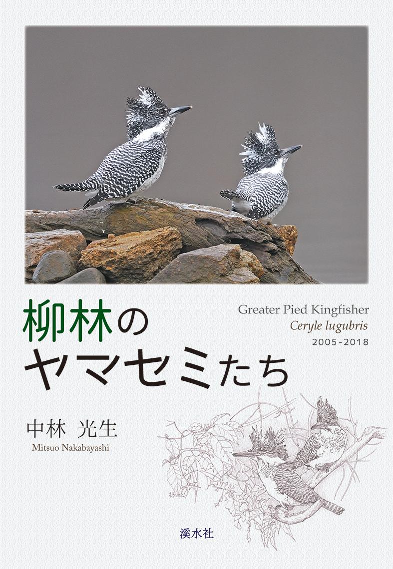 楽天ブックス 柳林のヤマセミたち 中林光生 本