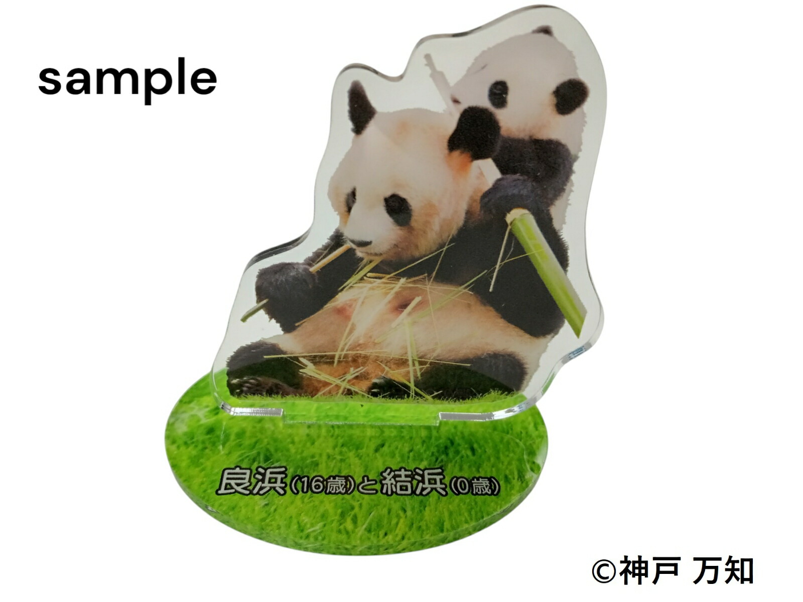 �ڳ�ŷ�֥å���������ŵ�����ͤ��Ͳȏ��10Ƭ�Υѥ�����Ƥ���ѥ���ΰ���ʥѥ������(���͡�16�Сˤȷ��͡�0�С�6cm��6cm������������륹�����)[��������]