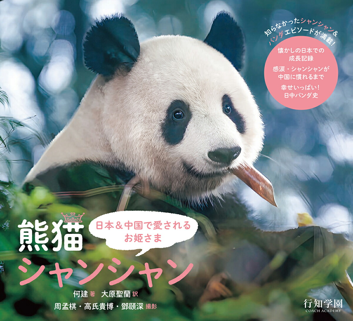 楽天市場】【予約】【特典付き】パンダといっしょに遊ぶ
