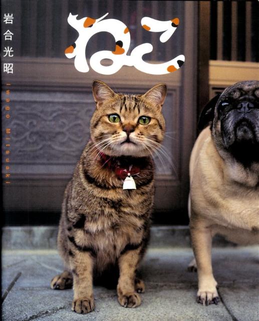 ねこ[岩合光昭]