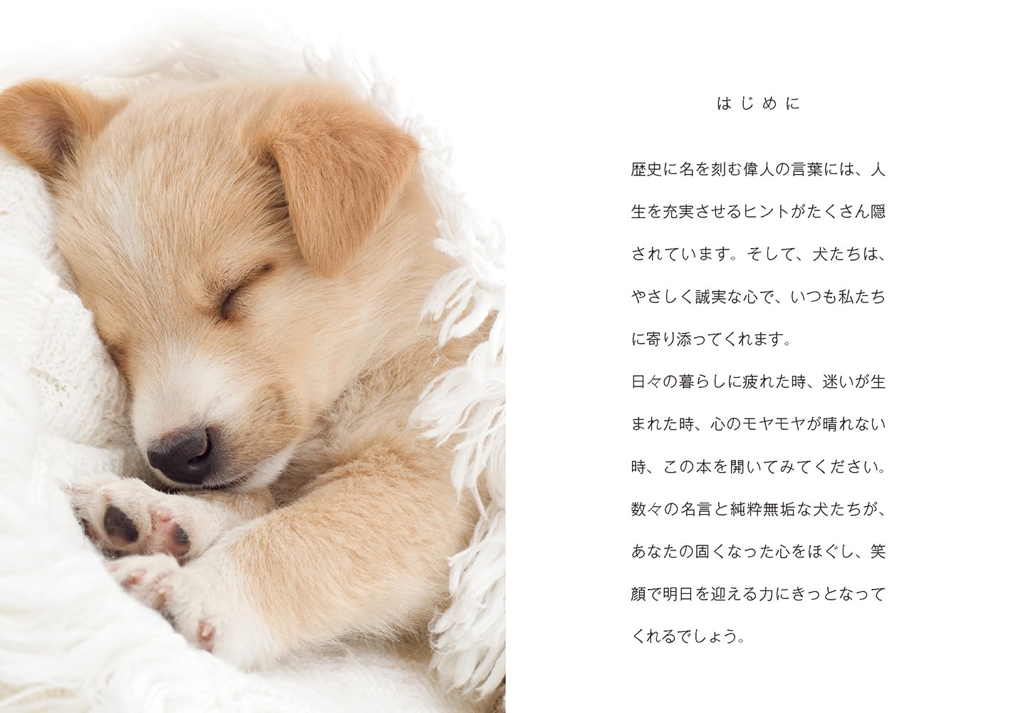 ��󤳥���ԡ�1ʬ�Ǿд�ˤʤ����աʥ�٥��ʸ�ˡ�[��٥���]