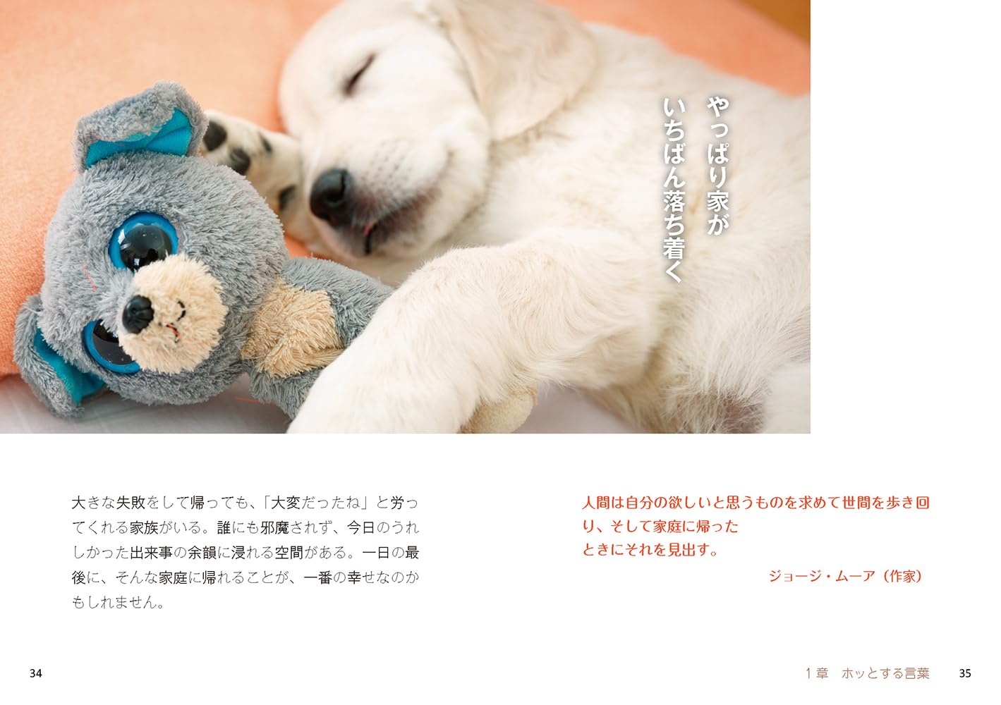 ��󤳥���ԡ�1ʬ�Ǿд�ˤʤ����աʥ�٥��ʸ�ˡ�[��٥���]