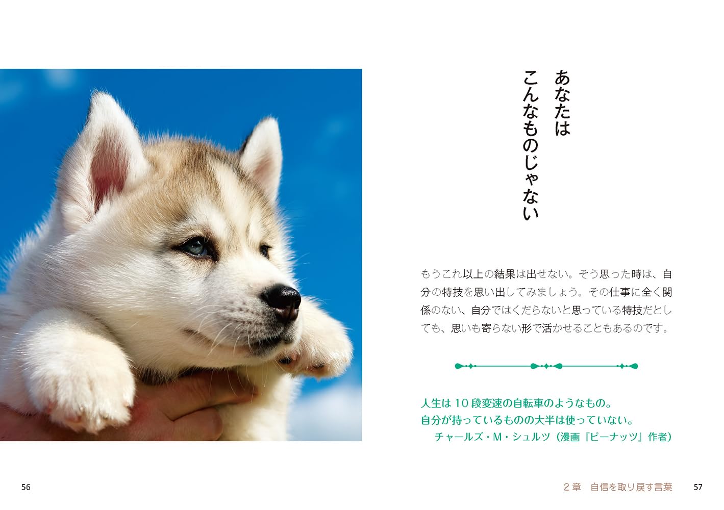 ��󤳥���ԡ�1ʬ�Ǿд�ˤʤ����աʥ�٥��ʸ�ˡ�[��٥���]