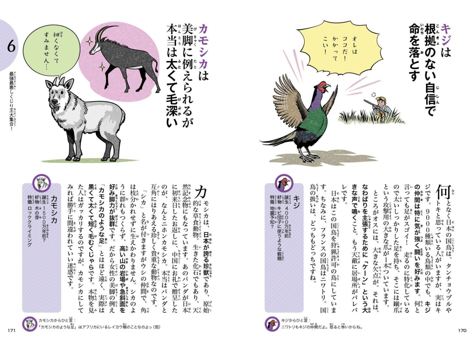 楽天ブックス: しくじり動物大集合 - 進化に失敗したポンコツな動物たち150種以上！ - 新宅広二 - 9784522435076 : 本