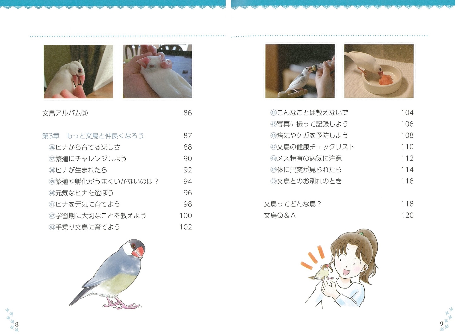 楽天ブックス もっと知りたい文鳥のこと Happyブンチョウ生活のすすめ 汐崎 隼 本