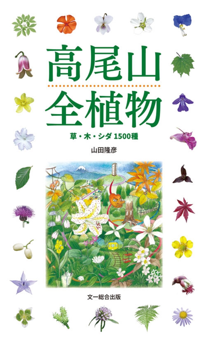 高尾山全植物　草・木・シダ1500種