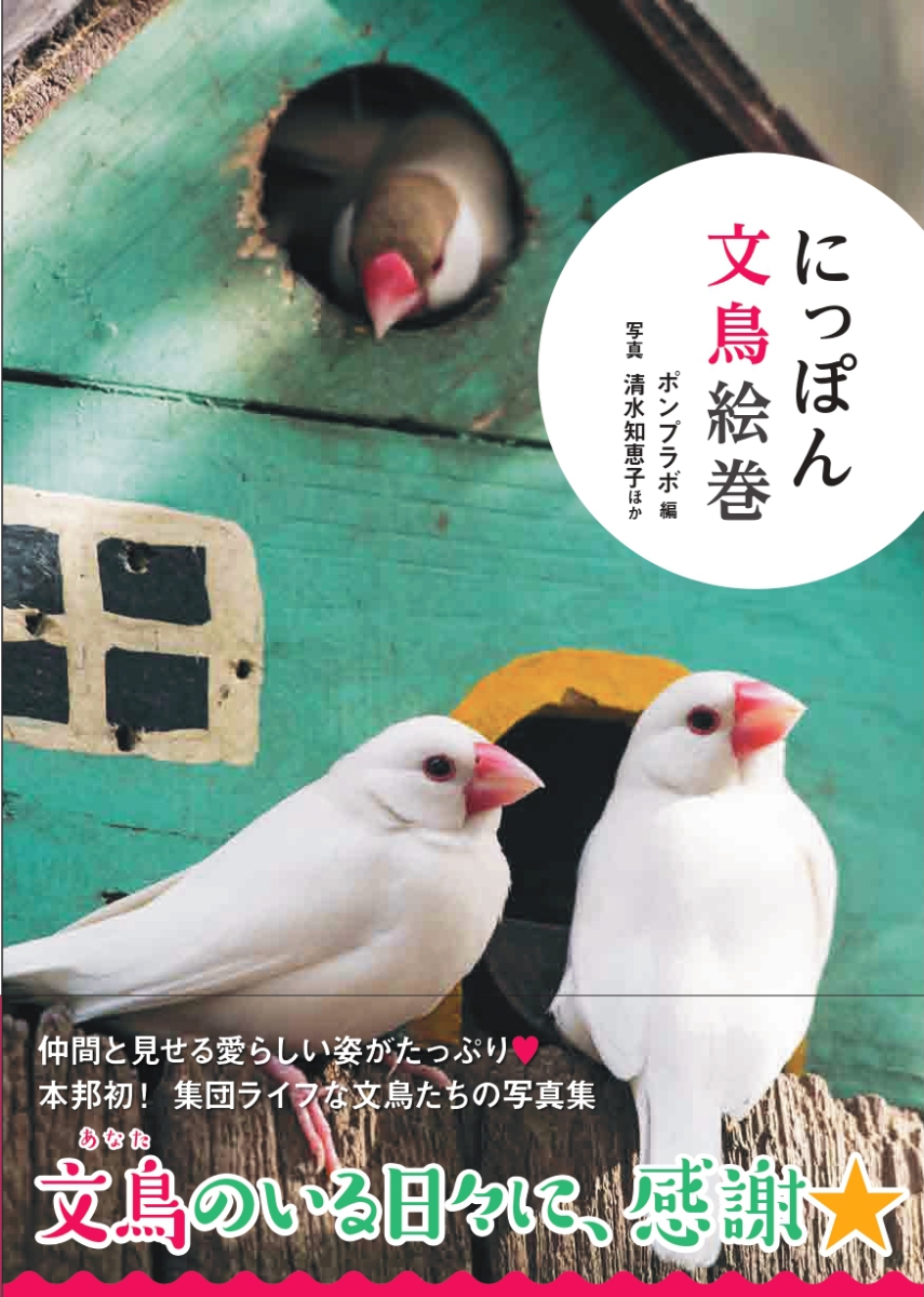 楽天ブックス にっぽん文鳥絵巻 ポンプラボ 本