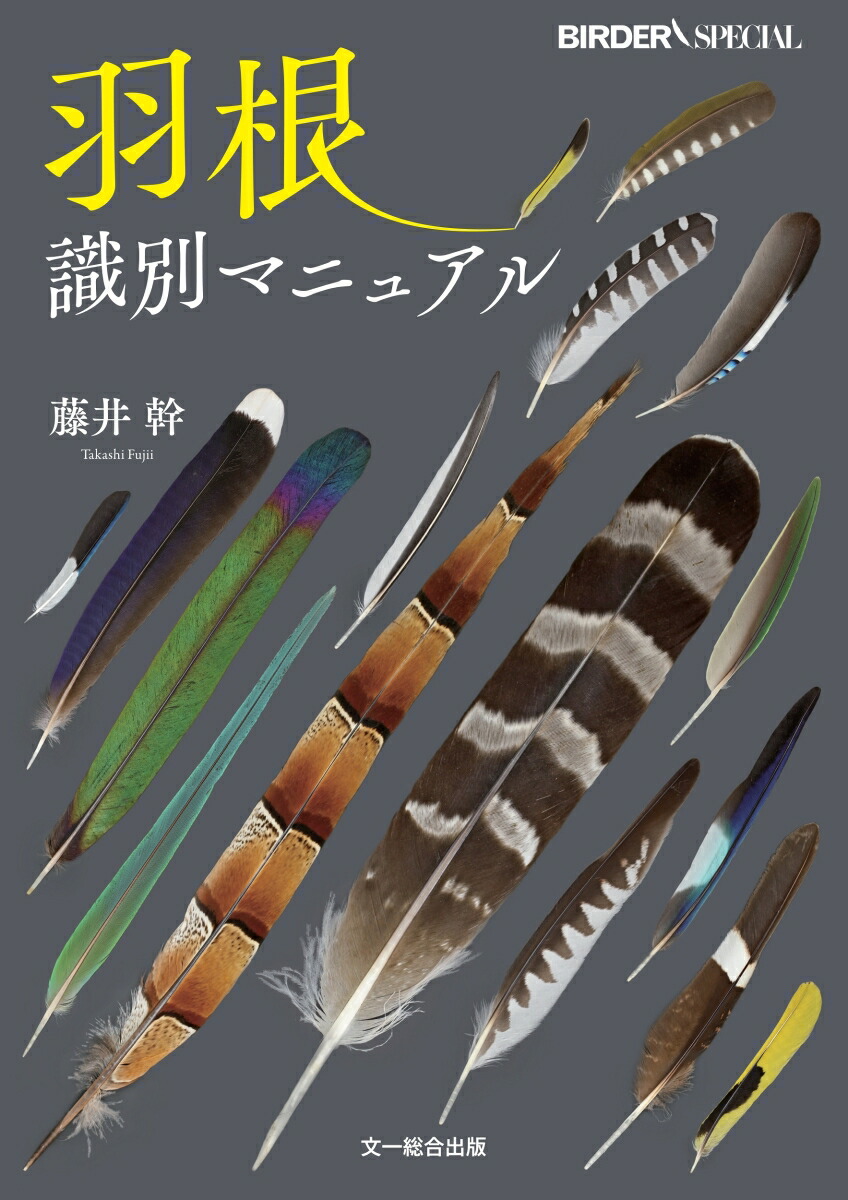 楽天ブックス 羽根識別マニュアル 藤井 幹 本