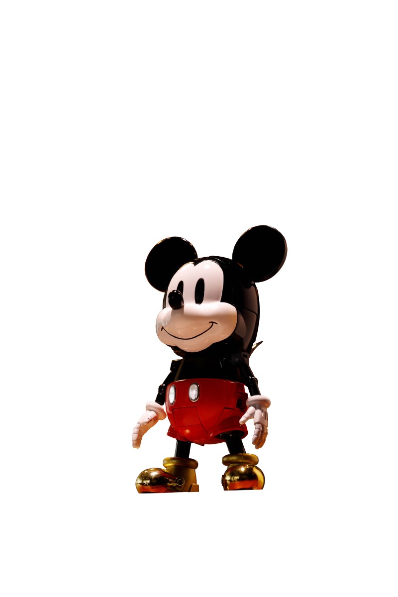 4573102675132.jpg