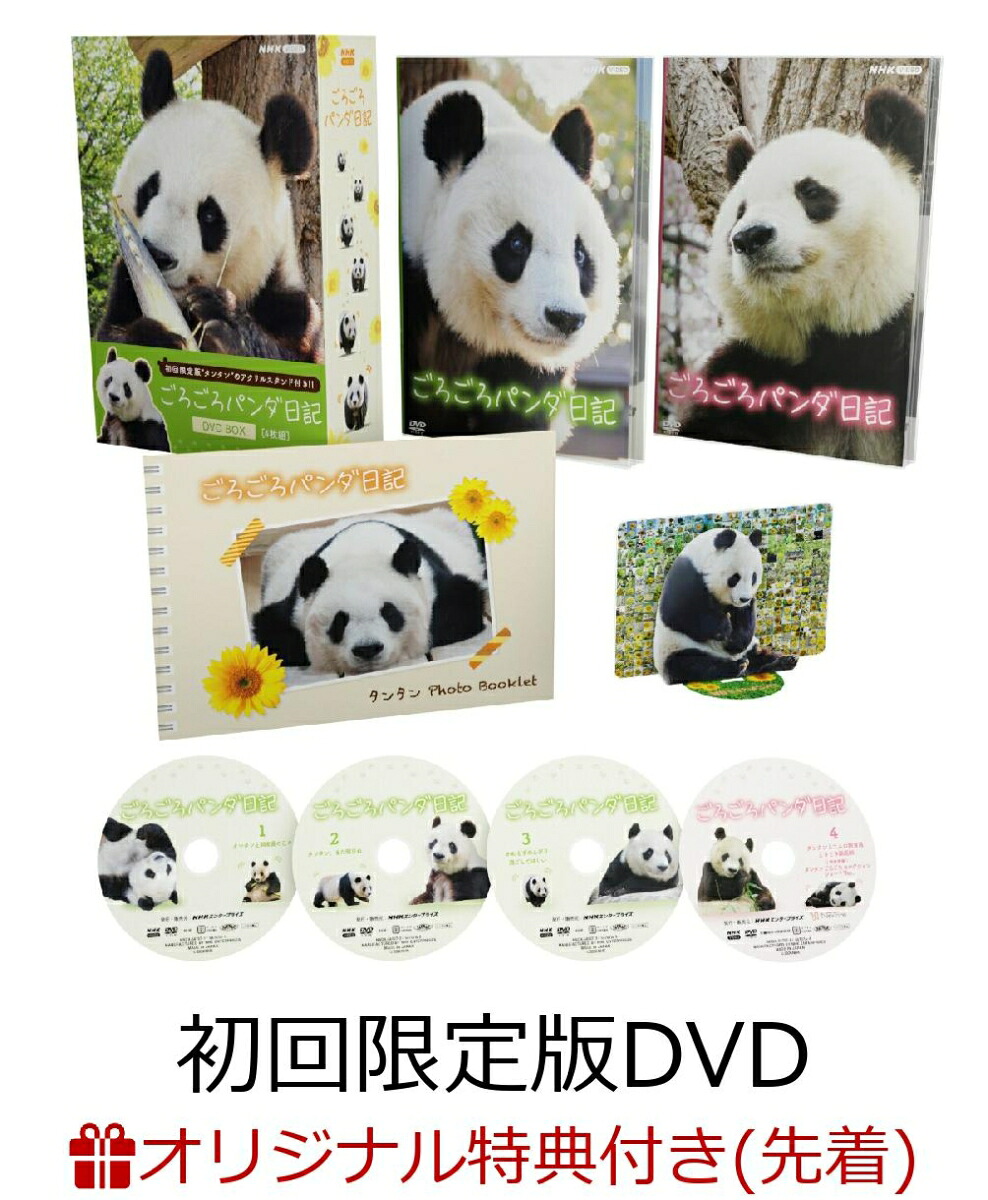 【楽天ブックス限定先着特典】ごろごろパンダ日記DVDBOX(アクリルスタンド付き初回限定版)(アクリルキーホルダー+ポストカード4枚セット)