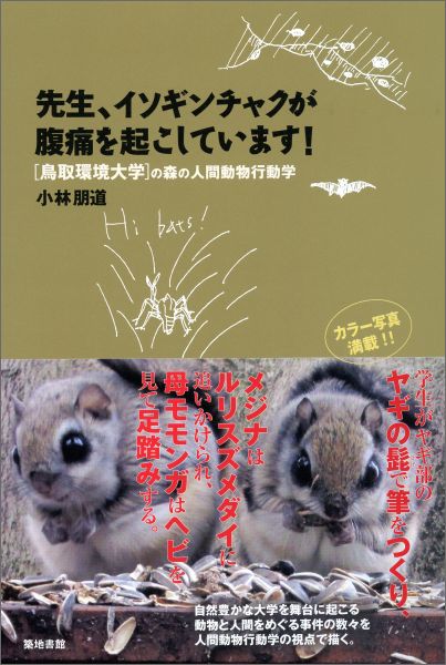 楽天ブックス 先生 イソギンチャクが腹痛を起こしています 鳥取環境大学の森の人間動物行動学 小林 朋道 本