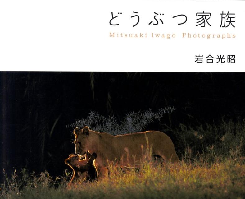 �ɤ��֤Ĳ�²MitsuakiIwagoPhotograph[������]
