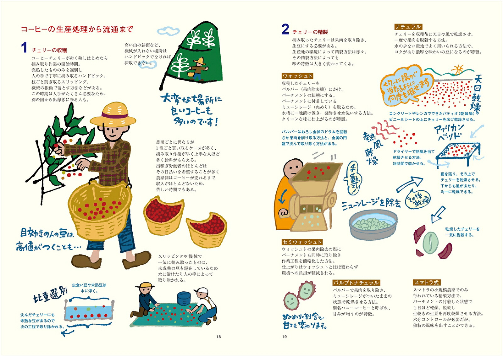 コーヒー語辞典第2版珈琲にまつわる言葉をイラストと豆知識でほっこり読み解く[山本加奈子]