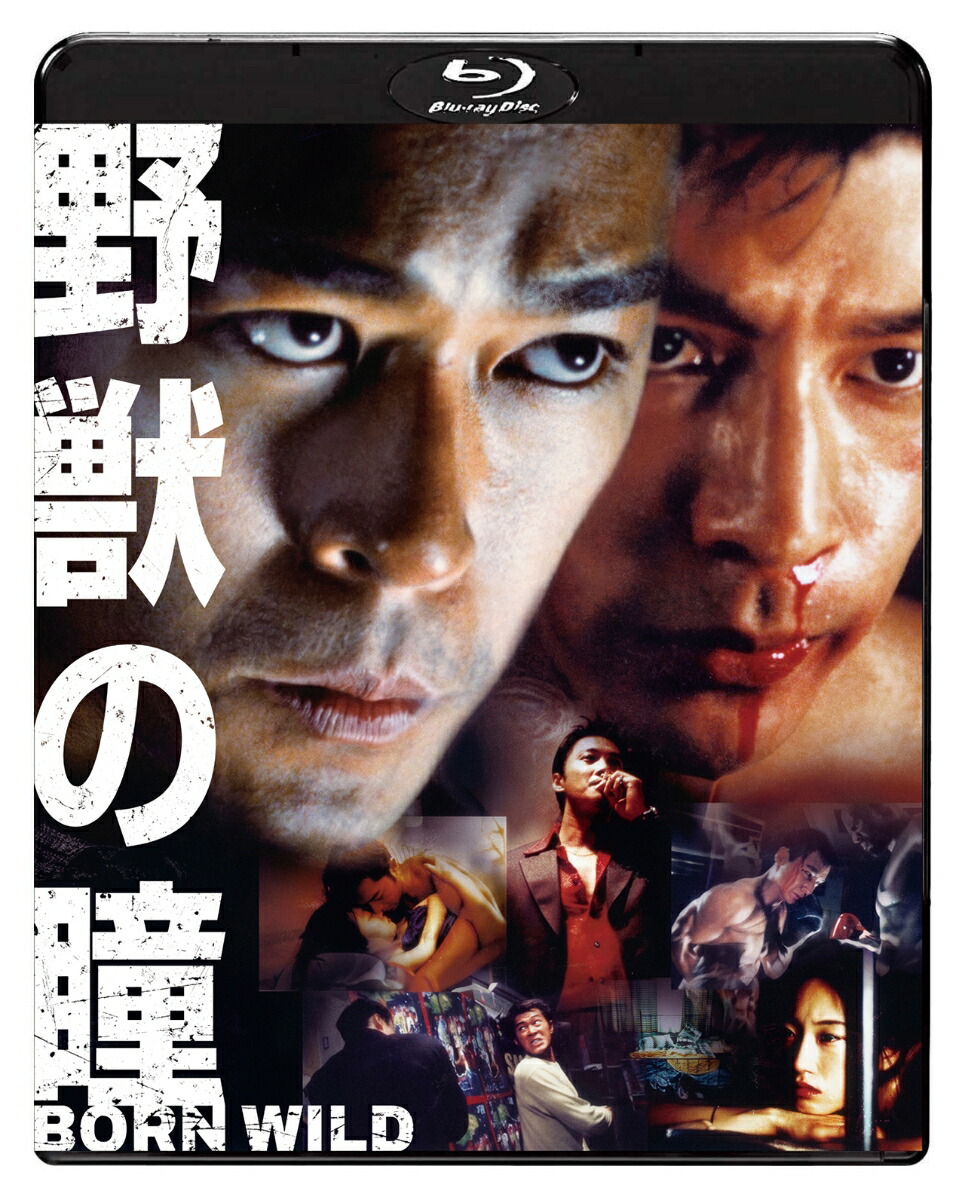 楽天ブックス: 野獣の瞳 BORN WILD【Blu-ray】 - ルイス・クー