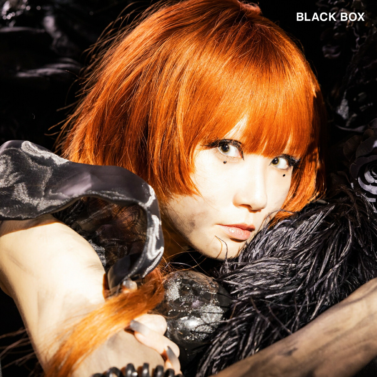 BLACKBOX[Reol]
