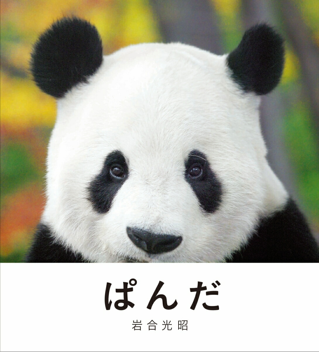 年のクリスマス ぱんだ様専用 焼酎 Cronoslab Org