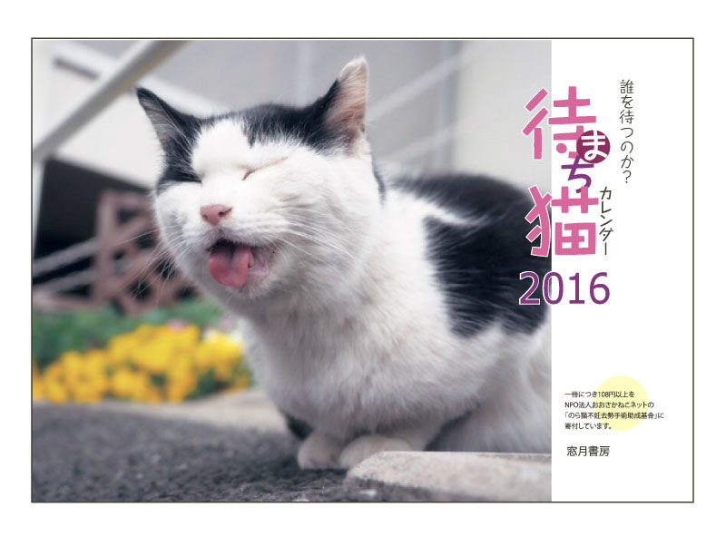 楽天ブックス 待ち猫カレンダー16 黒猫房 本