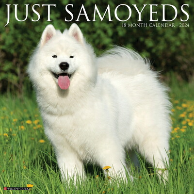 価格販売中 samoyed ノーカラージャケット | thetaiwantimes.com