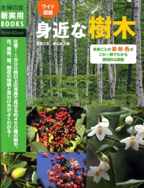 楽天ブックス 身近な樹木 ワイド図鑑 季節ごとの姿 形 色がこれ一冊でわかる 菱山忠三郎 本 楽天ブックス 身近な樹木 ワイド図鑑 季節ごとの姿 形 色がこれ一冊でわかる 菱山忠三郎 本
