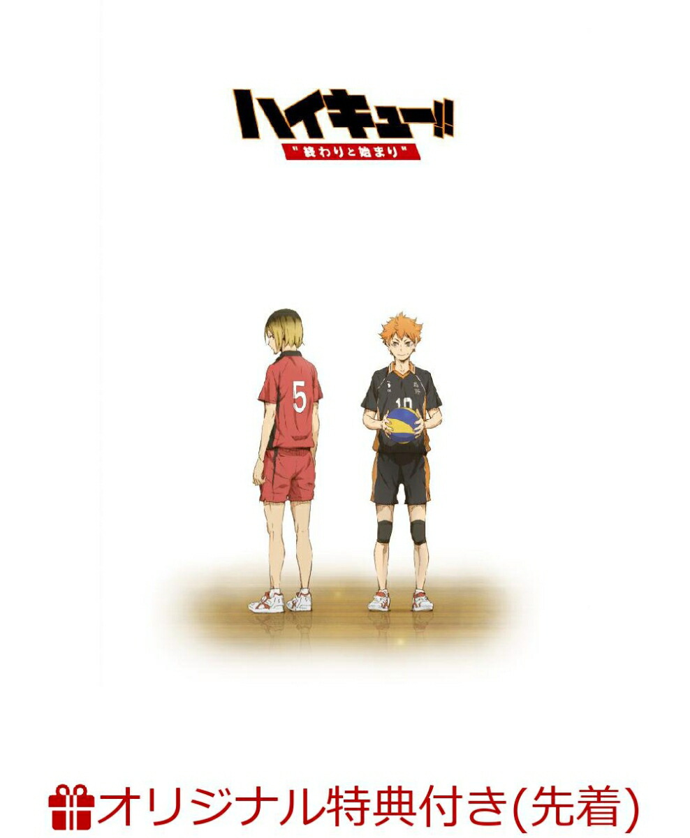 楽天ブックス 楽天ブックスオリジナル 音駒ネコブックカバー ハイキュー 終わりと始まり総集編 前編 Dvd