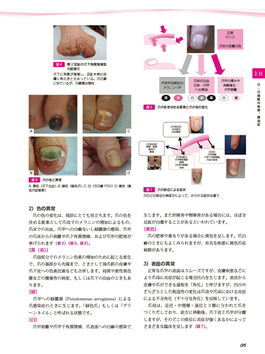 ���Ϥ���褦!�եåȥ���[��������]