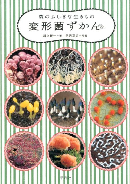 楽天ブックス: 変形菌ずかん - 森のふしぎな生きもの - 川上新一