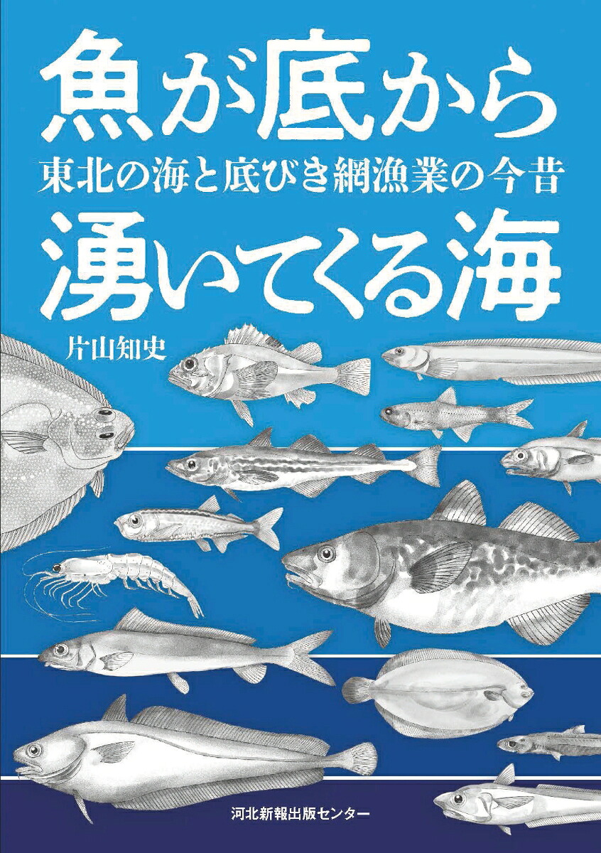 魚が底から湧いてくる海東北の海と底びき網漁業の今昔[片山知史]