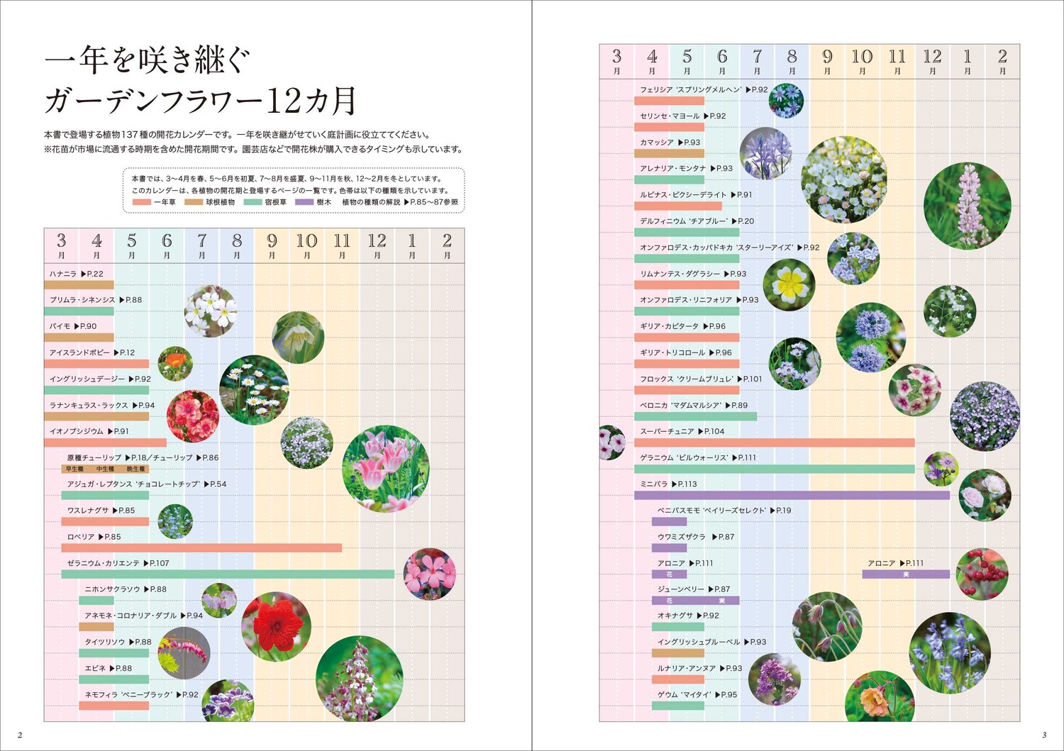 おしゃれな庭の舞台裏365日花あふれる庭のガーデニング[ガーデンストーリー]