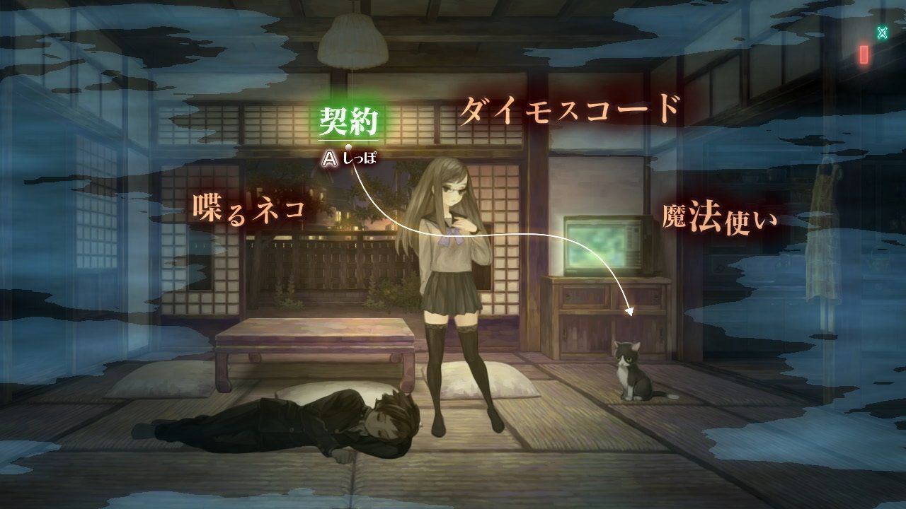 �ڳ�ŷ�֥å���������ŵ�۽�����ʼ�ɱҷ�Switch��(��������դ����ꥢ������13�糧�å�)