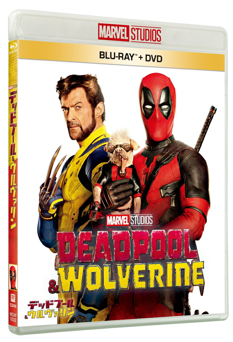 ڳŷ֥åѥåۥǥåɥס֥롼쥤DVDåȡBlu-ray