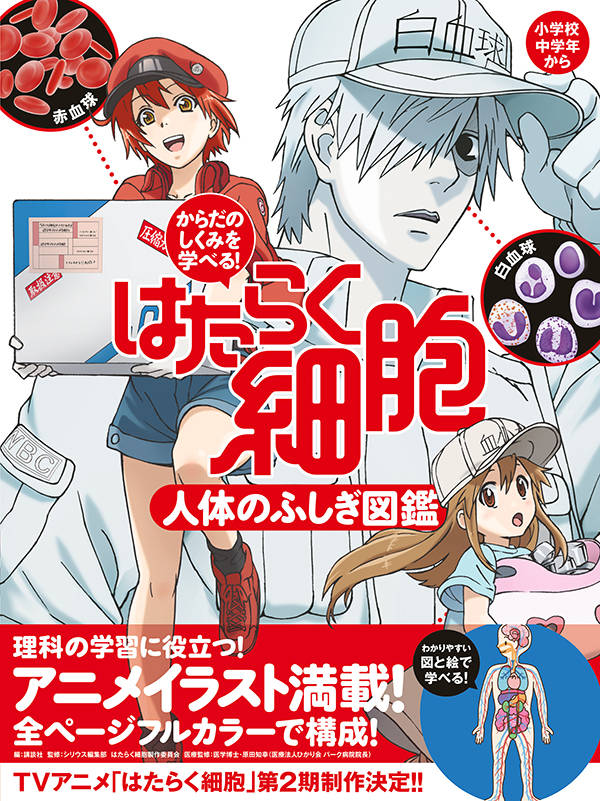 楽天ブックス からだのしくみを学べる はたらく細胞 人体のふしぎ図鑑 講談社 9784065165263 本