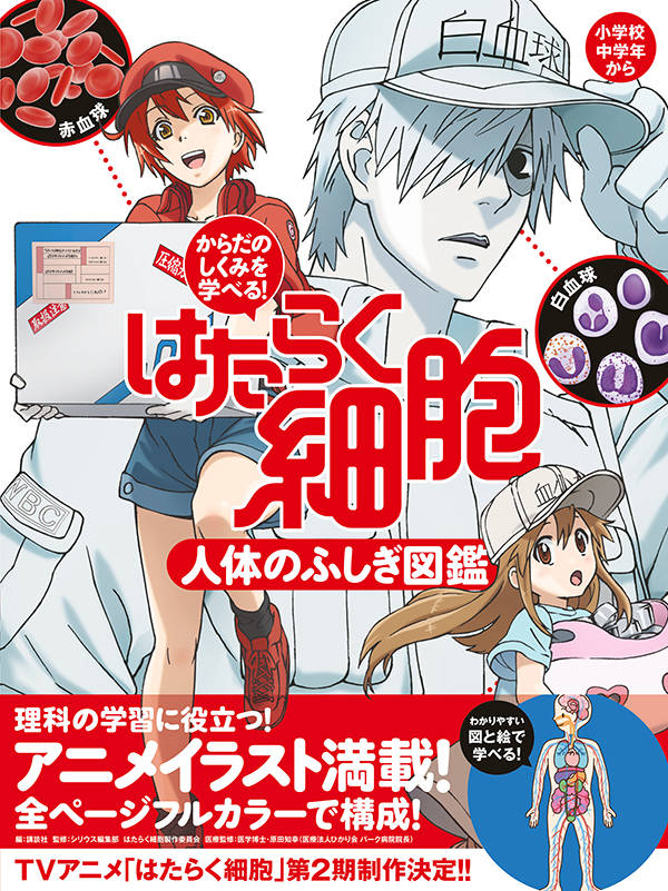 からだのしくみを学べる はたらく細胞 人体のふしぎ図鑑 講談社