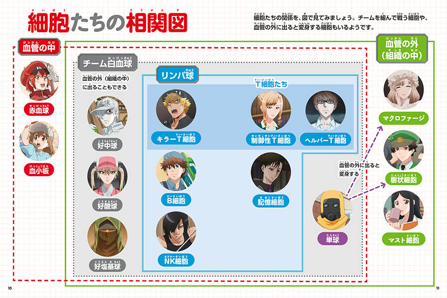 からだのしくみを学べる はたらく細胞 人体のふしぎ図鑑 講談社