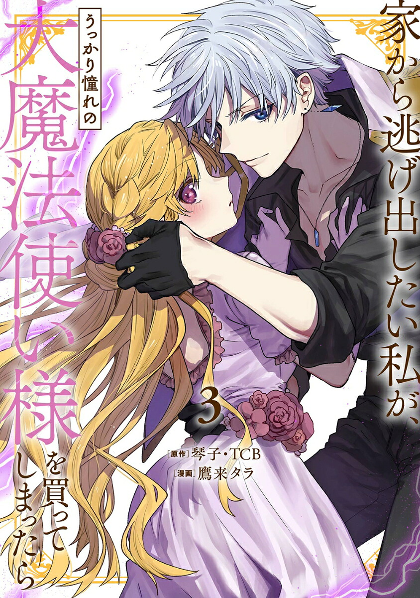家から逃げ出したい私が、うっかり憧れの大魔法使い様を買ってしまったら(3) 表紙