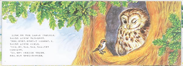 ��������Τܤ�����ʤ��ɤ�ΤȤ⳨�ܡ�[�롼���������󥺥��]