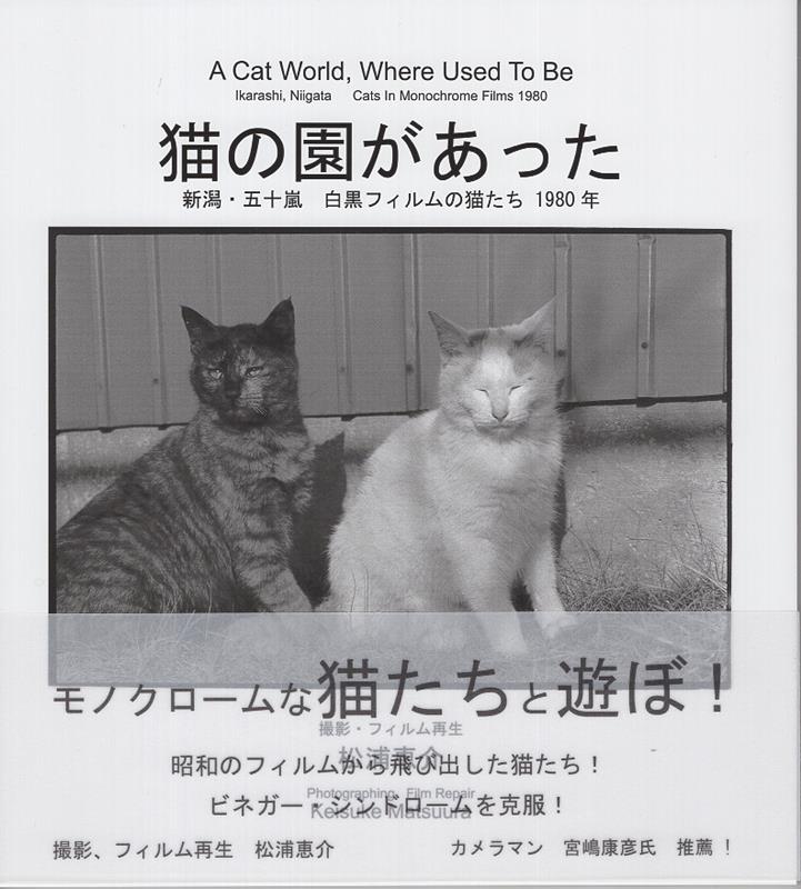 猫の園があった新潟・五十嵐白黒フィルムの猫たち1980年[松浦恵介]
