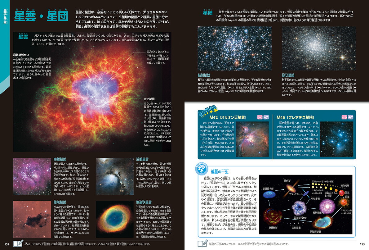 �������¿��ǡʳظ��ο޴�LIVE�ʥ饤�֡�6��[��������]