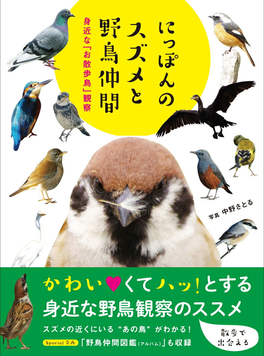 楽天ブックス にっぽんのスズメと野鳥仲間 中野さとる 本