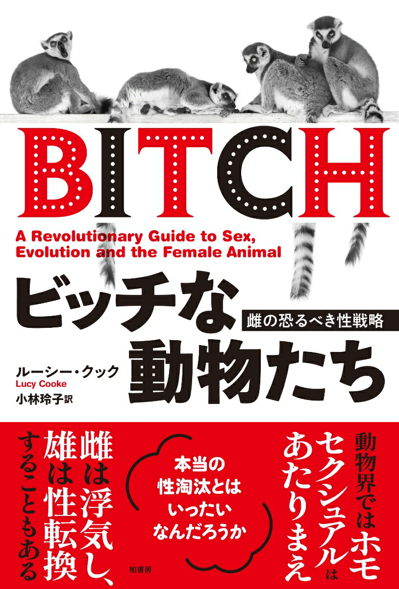 楽天ブックス: ビッチな動物たち - 雌の恐るべき性戦略 - ルーシー クック - 9784760155279 : 本