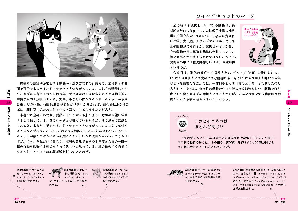 楽天ブックス ジャクソン ギャラクシーの猫を幸せにする飼い方 ジャクソン ギャラクシー 本