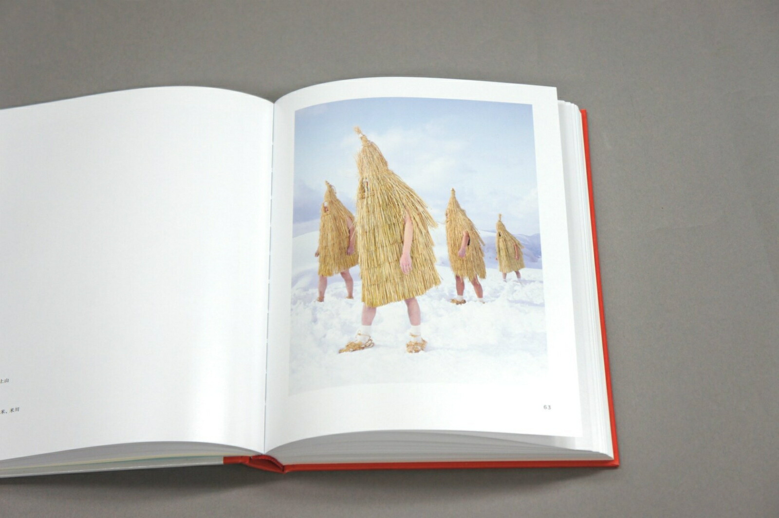 YOKAINOSHIMA���ܤν˺�-��ʪ�˽ɤ�����β���[�����롦�ե쥸��]