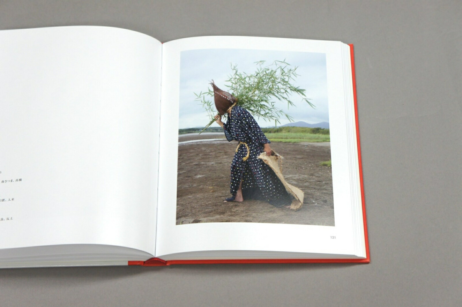 YOKAINOSHIMA���ܤν˺�-��ʪ�˽ɤ�����β���[�����롦�ե쥸��]