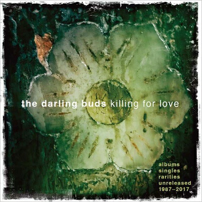 ブックス: 【輸入盤】Killing For Love - Albums, Singles, Rarities, Unreleased 1987-2017 (5CD Box) - Darling Buds - 5013929115293 : CD