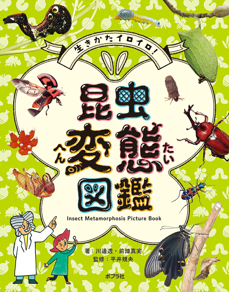 生きかたイロイロ！昆虫変態図鑑（単行本330）[川邊透]