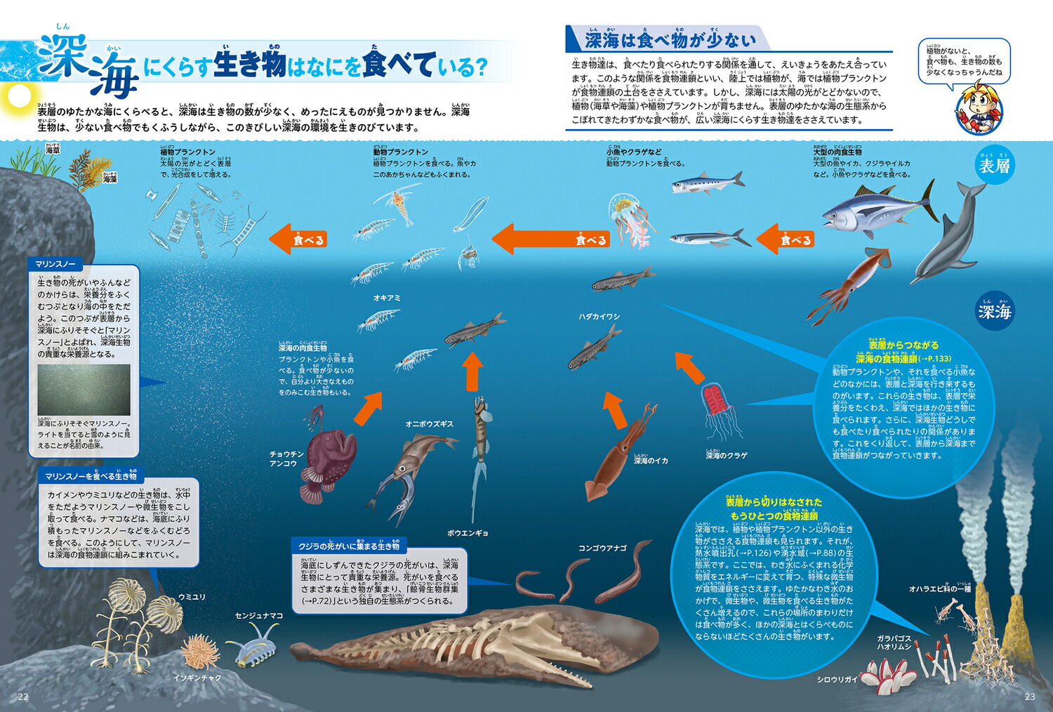 角川の集める図鑑GET！深海[江口暢久]