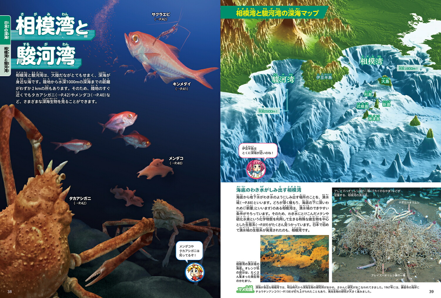 角川の集める図鑑GET！深海[江口暢久]