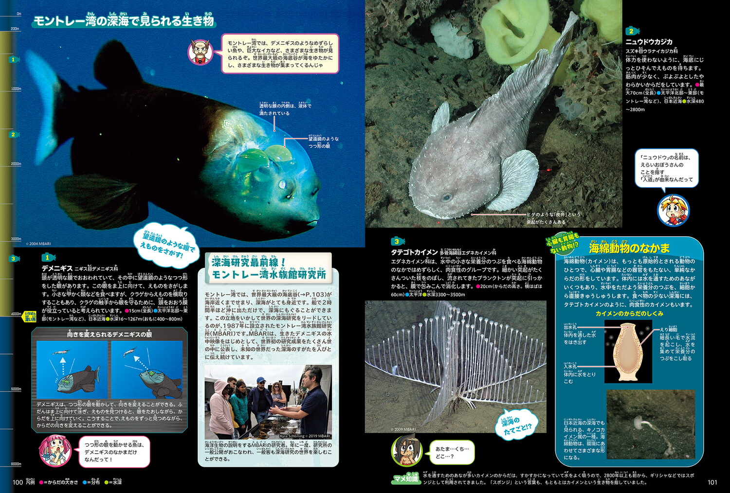 角川の集める図鑑GET！深海[江口暢久]