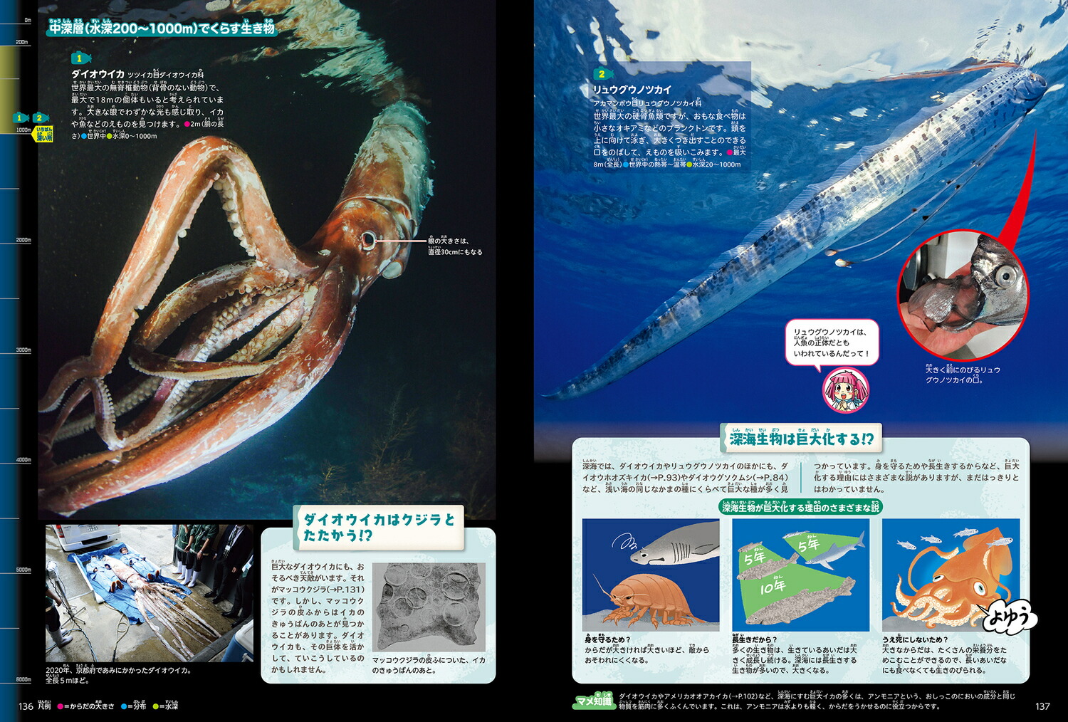 角川の集める図鑑GET！深海[江口暢久]