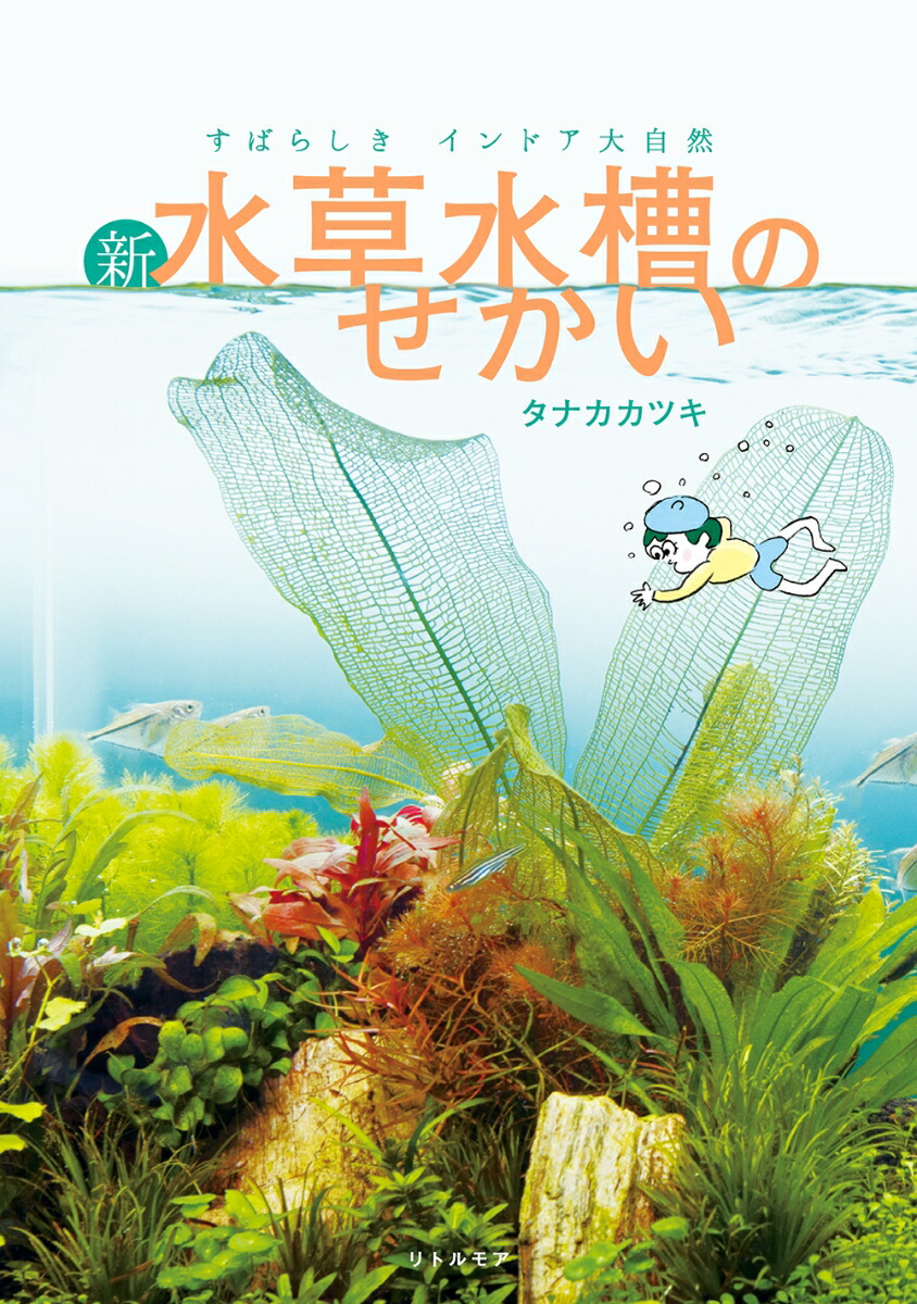���Ф餷������ɥ��缫�������������Τ�����[���ʥ����ĥ�]